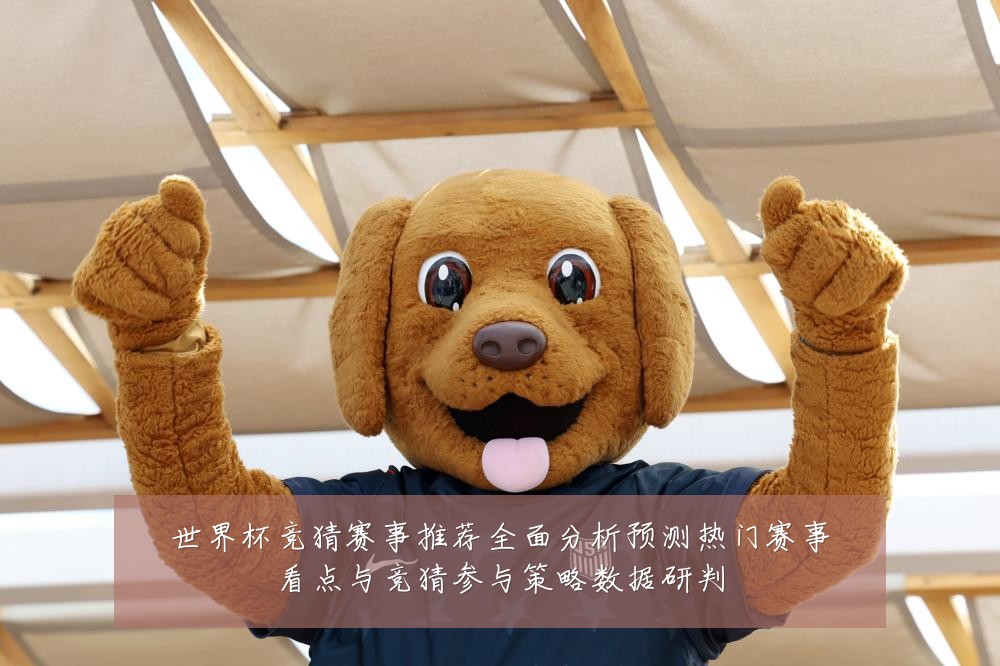 世界杯竞猜赛事推荐全面分析预测热门赛事看点与竞猜参与策略数据研判